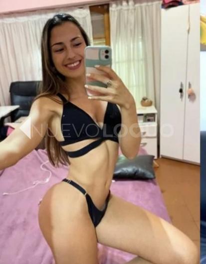 NuevoLoquo2