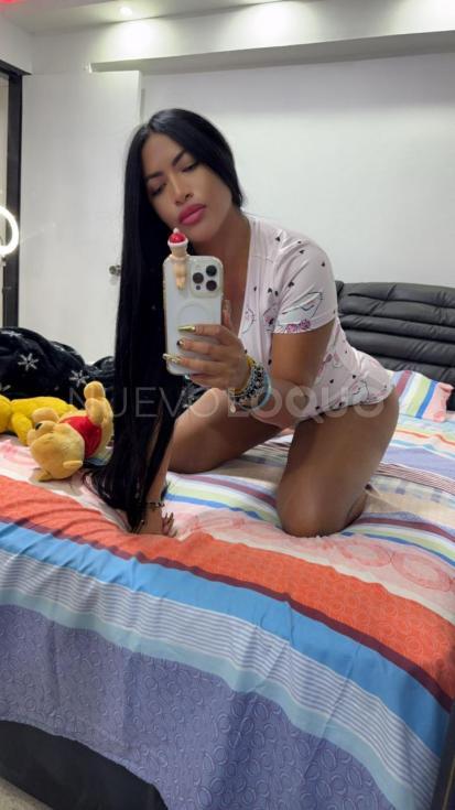 NuevoLoquo3