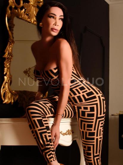 NuevoLoquo3