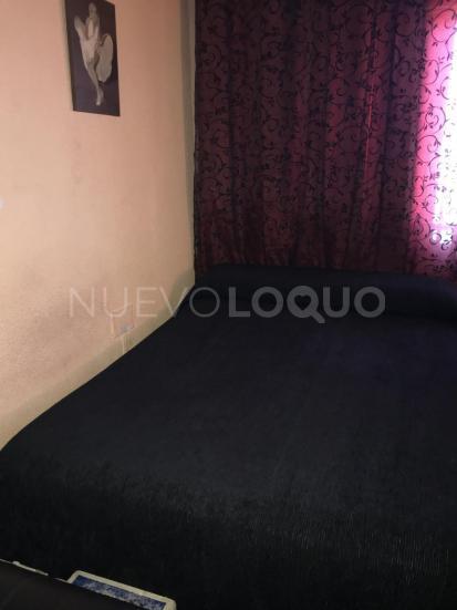 NuevoLoquo1