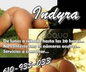 NuevoLoquo1