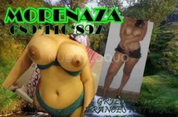 NOVEDAD MORENA