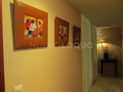 NuevoLoquo5