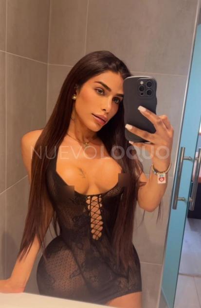 NuevoLoquo2