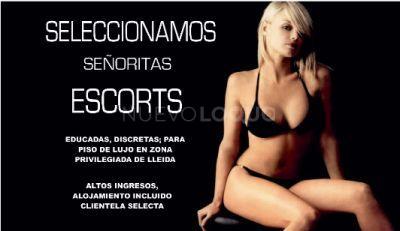 NuevoLoquo3
