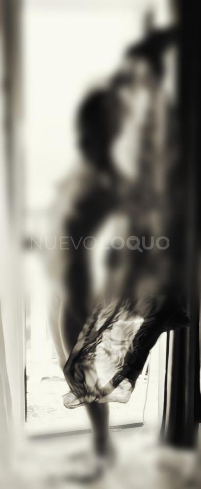 NuevoLoquo3