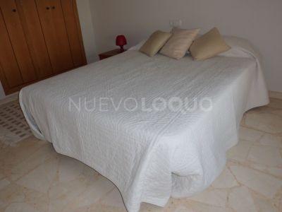 NuevoLoquo3