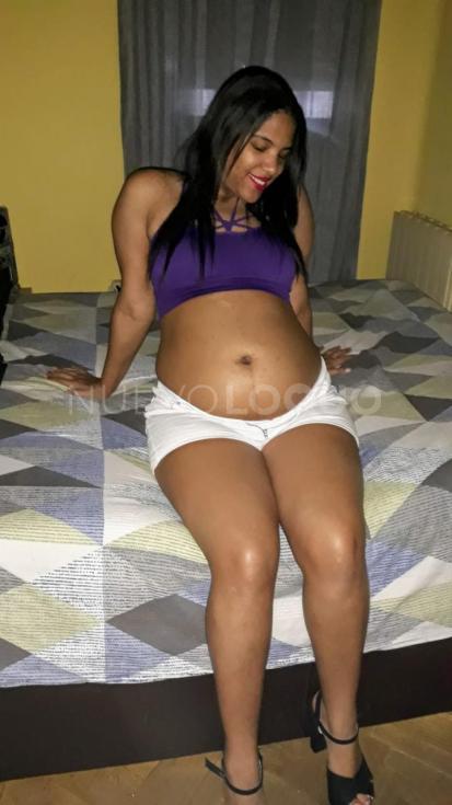 NuevoLoquo3