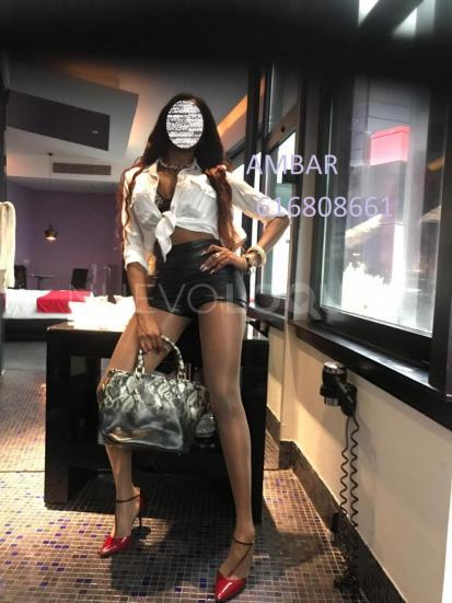 NuevoLoquo2
