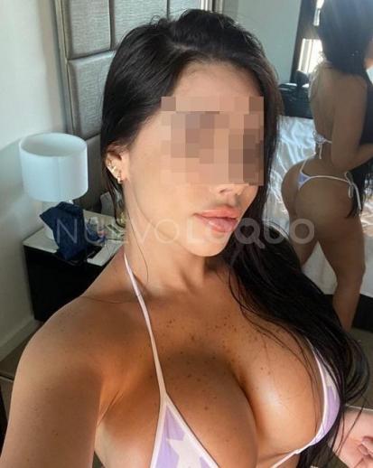 NuevoLoquo3