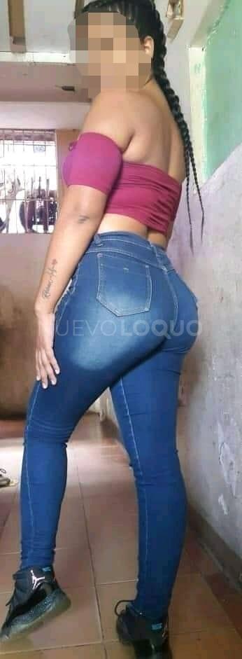 NuevoLoquo3