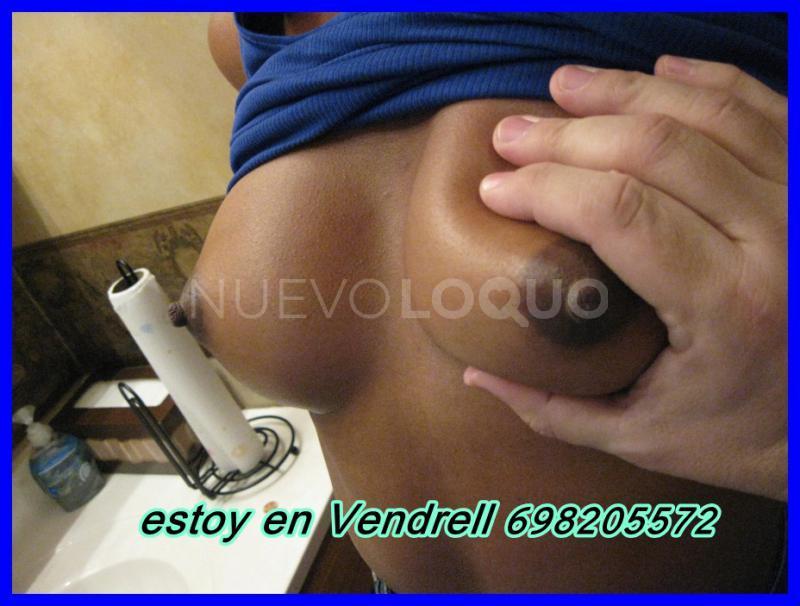 NuevoLoquo1
