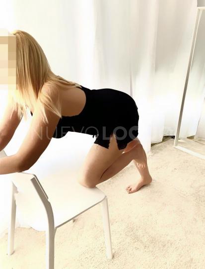 NuevoLoquo2