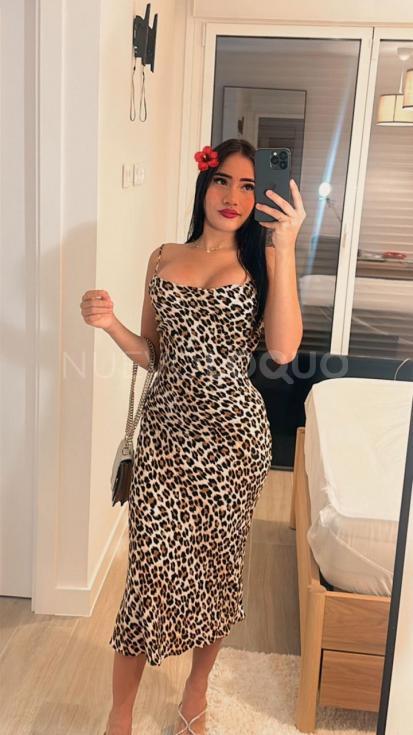 NuevoLoquo3