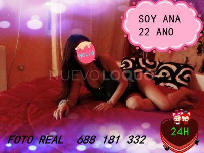 NuevoLoquo3