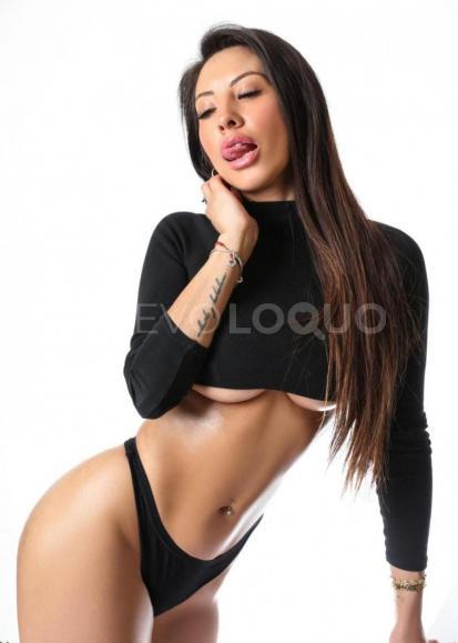 NuevoLoquo3