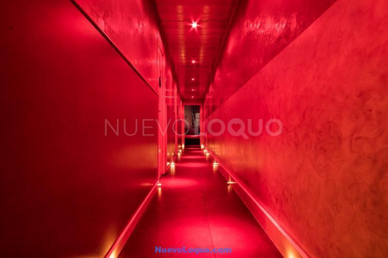 NuevoLoquo3