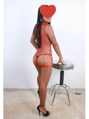 NuevoLoquo1