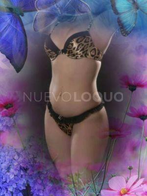 NuevoLoquo2