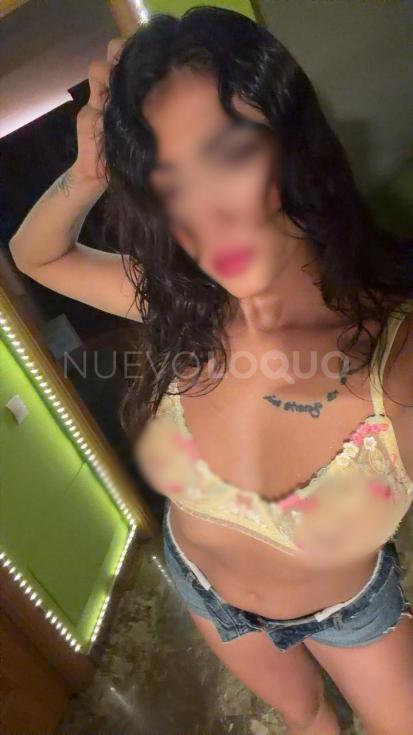 NuevoLoquo2