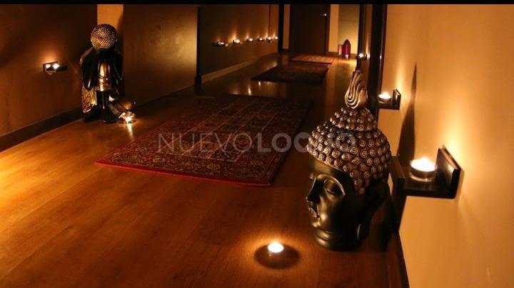 NuevoLoquo2