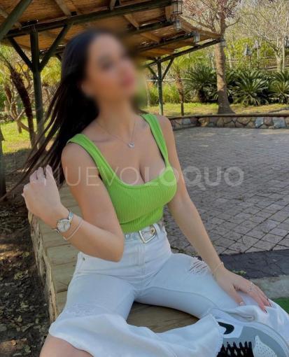 NuevoLoquo3
