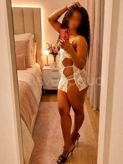  Tu compañera perfecta!