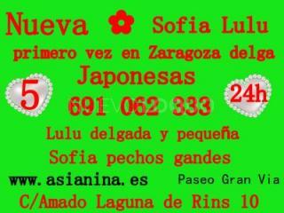 NUEVA   SOFIA LULU  primero vez en zaragoza.delga MASAJE ASIATICAS  //