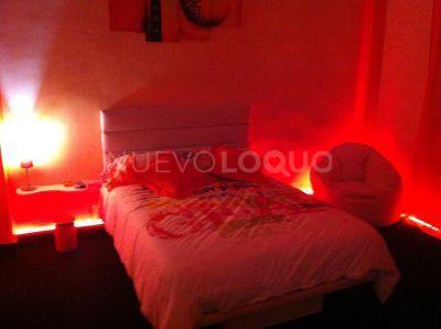 NuevoLoquo3