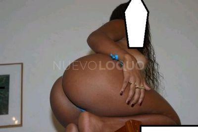 NuevoLoquo3