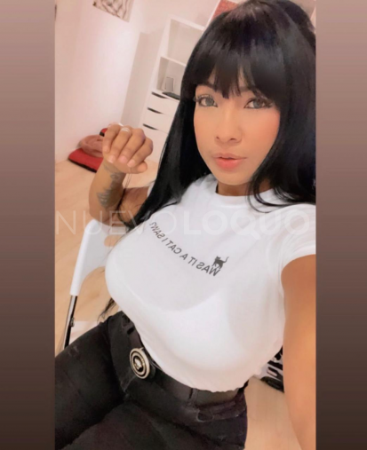 NuevoLoquo1