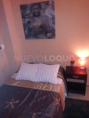 NuevoLoquo4