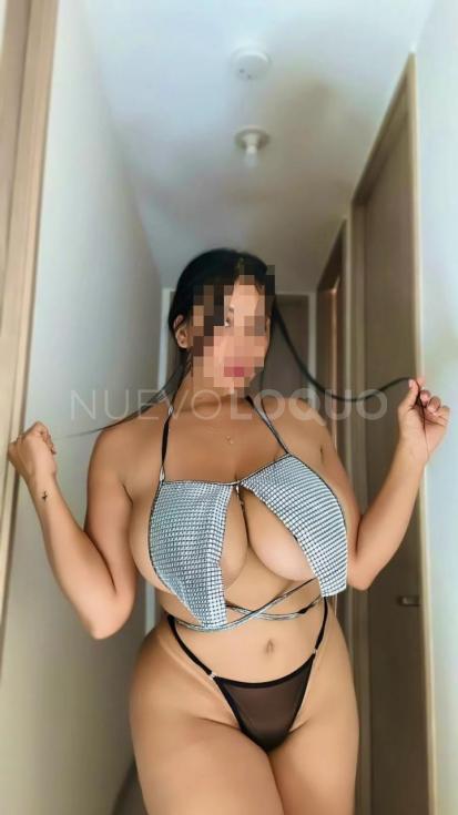NuevoLoquo1
