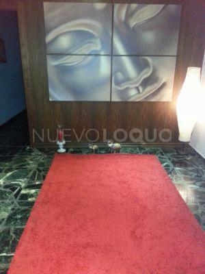 NuevoLoquo3