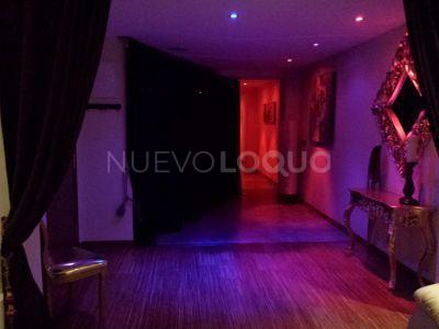NuevoLoquo2