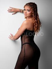 Tu compañía perfecta