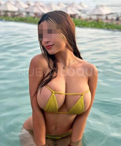 NuevoLoquo4