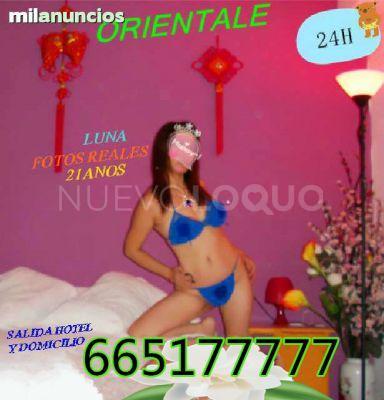 NuevoLoquo2