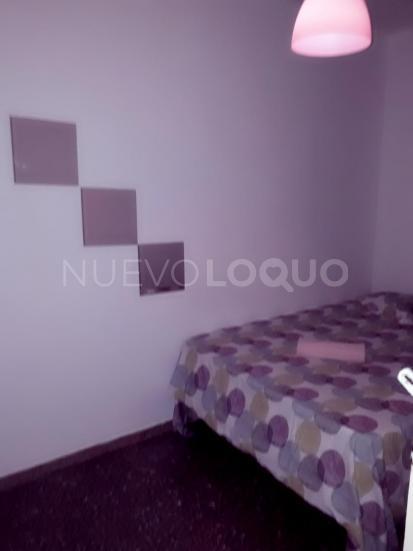 NuevoLoquo3