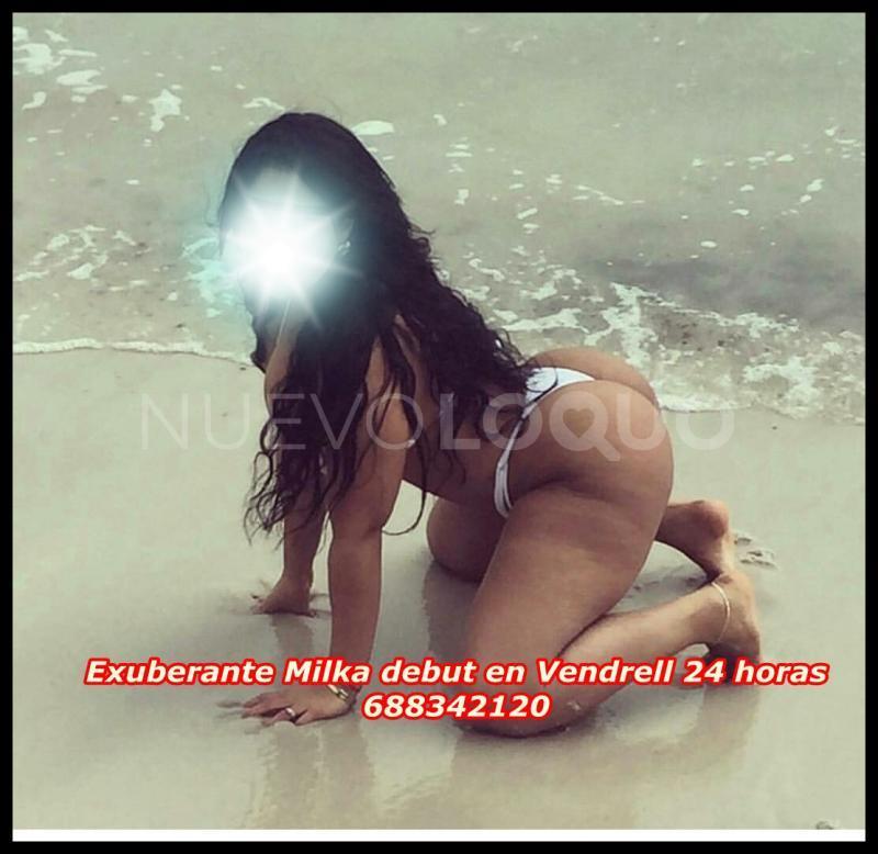 NuevoLoquo1
