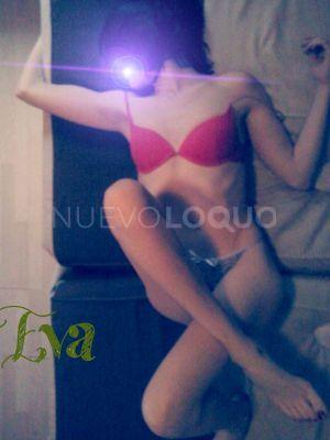 NuevoLoquo1
