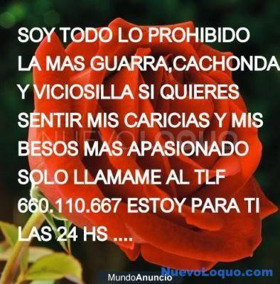 NuevoLoquo1