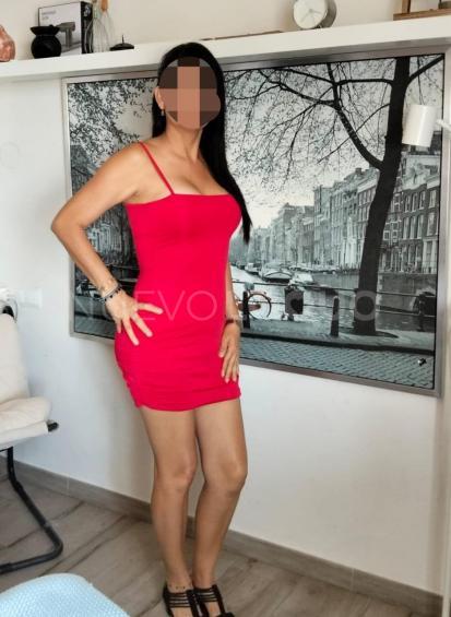 NuevoLoquo3