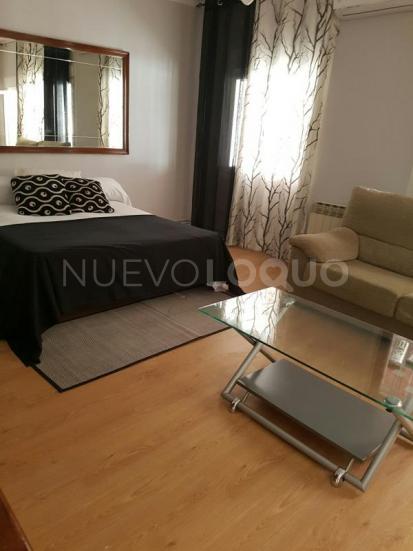 NuevoLoquo1