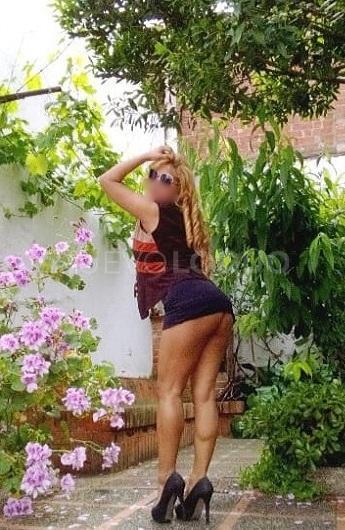 NuevoLoquo2