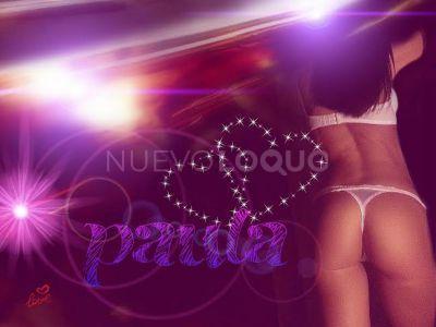 NuevoLoquo3