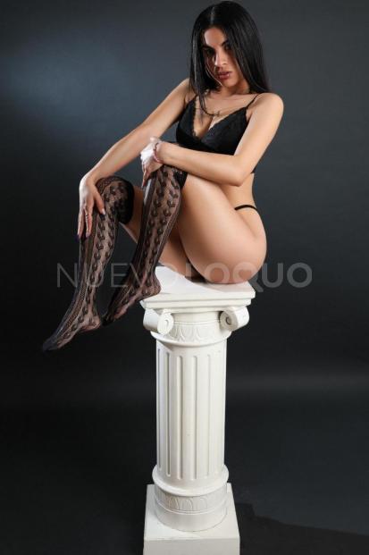 NuevoLoquo1