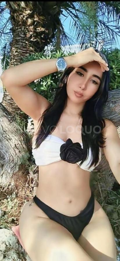 NuevoLoquo3