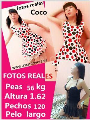NuevoLoquo4