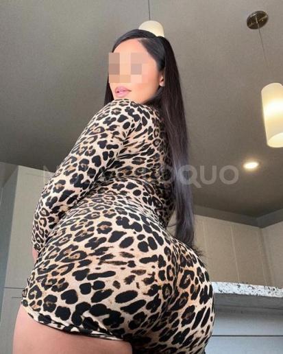 NuevoLoquo3